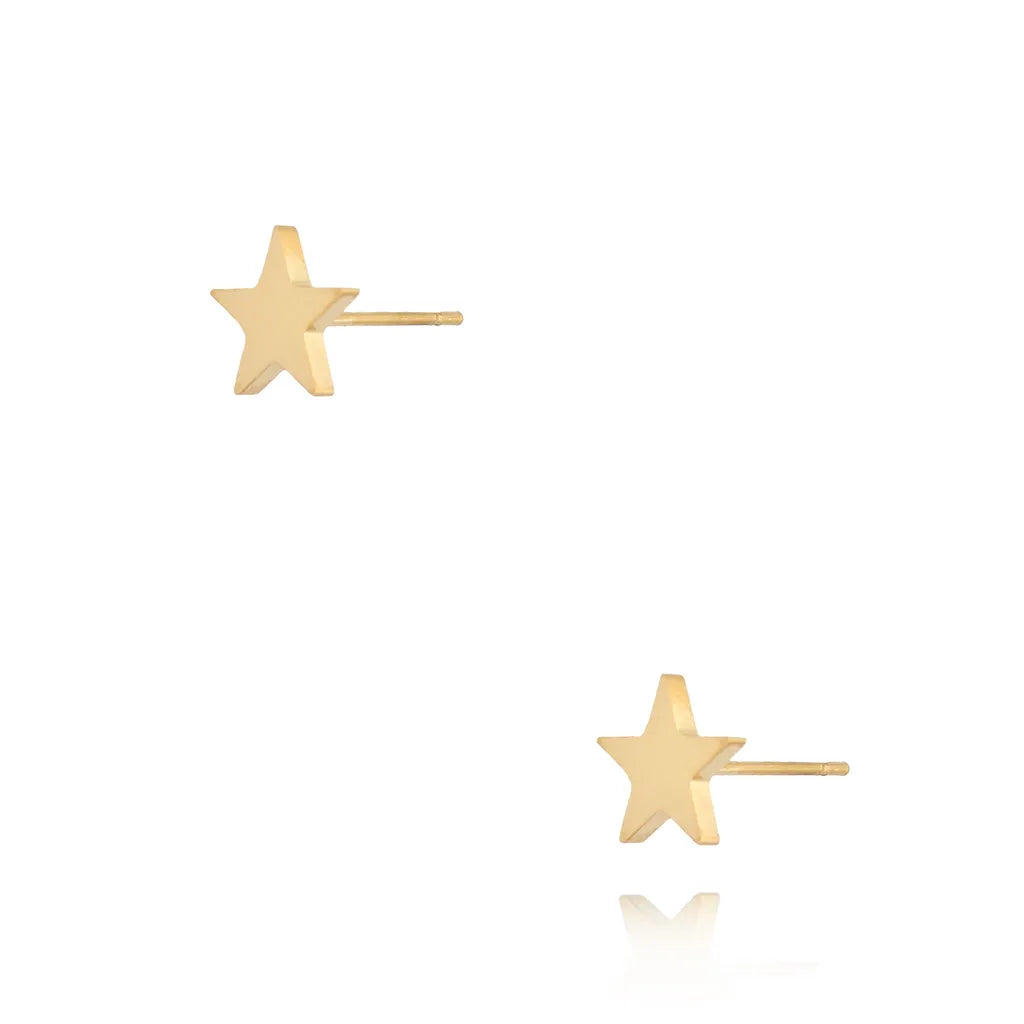 Stainless Steel Star Stud Earrings