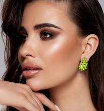 Load image into Gallery viewer, Honestly Green Crystal Earrings
